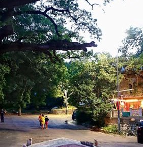 Comfort Quadruple Room