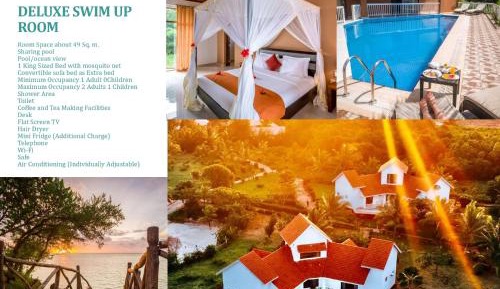 Deluxe Pool View Room 