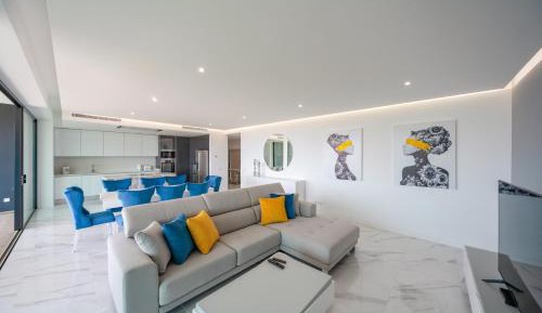 Penthouse Apartment