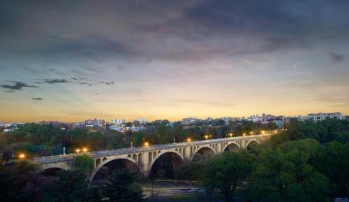 Premier Room - 1 King Bed