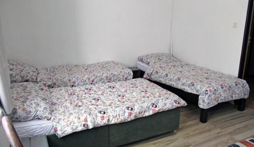 8-Bed Mixed Dormitory Room