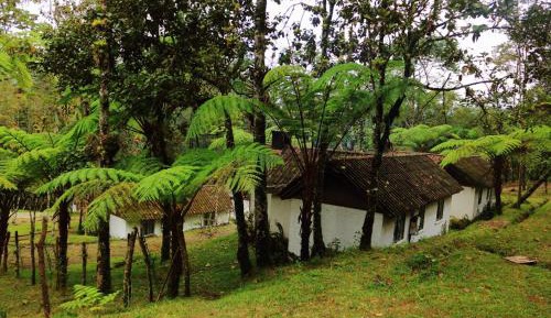 Two-Bedroom Bungalow