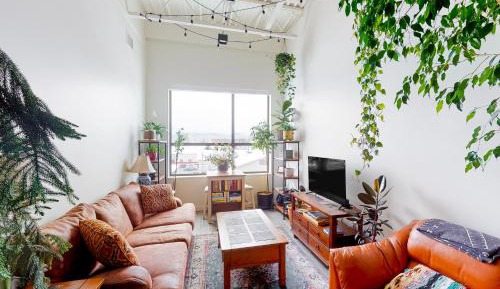 Two Bedroom Apartment 