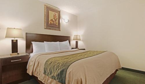 King Room - Non-Smoking