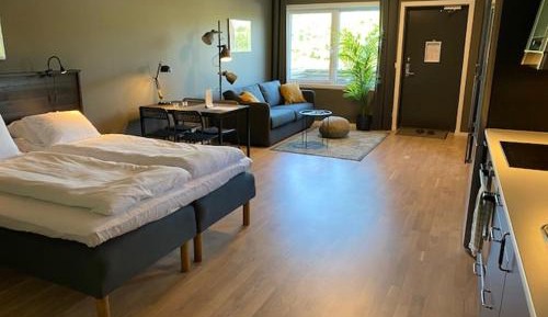 Studio with Sofa Bed
