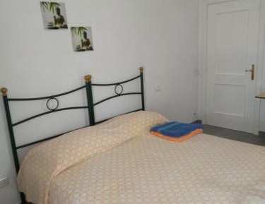 King Room with Garden View