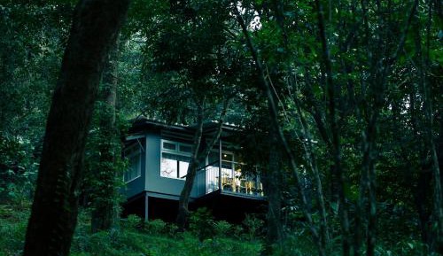 Deluxe Cottage with Balcony - Complimentary in-house trekking activities