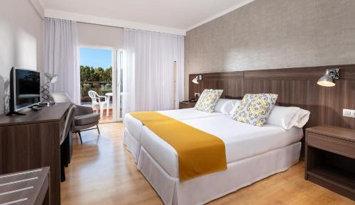 Double or Twin Room with Mountain View