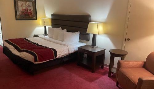 King Room - Non-Smoking