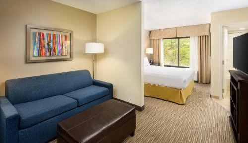 Standard King Room with Sofa Bed