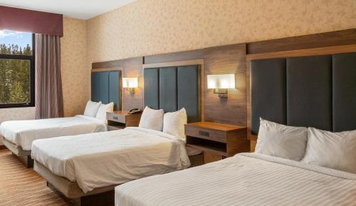 Three Queen Beds - Mountain View 