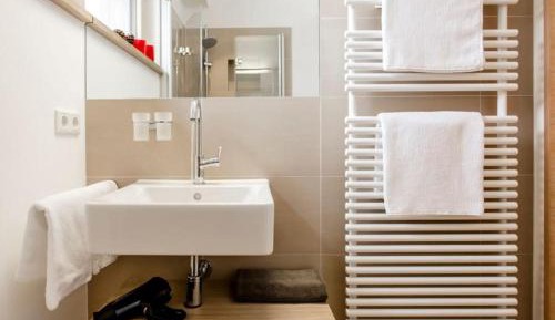 One-Bedroom Apartment with Shower