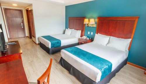 Executive Twin, 2 Twin Beds - Non-Smoking