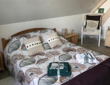 Standard Double Room with Shared Bathroom