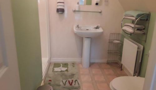 Family Room with Shower