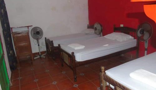 4-Bed Mixed Dormitory Room