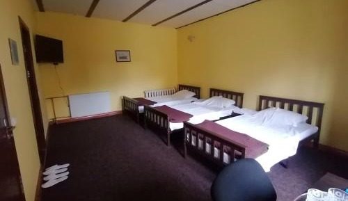 Basic Triple Room