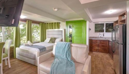 One-Bedroom Villa