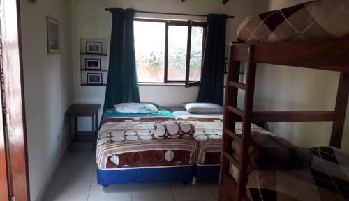 Single Bed in Mixed Dormitory Room