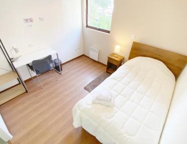 Superior Single Room