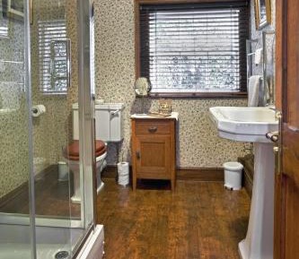 Deluxe Double or Twin Room with River View