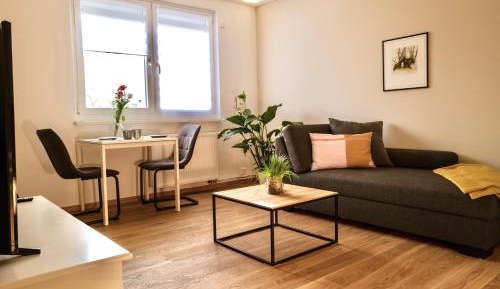 Deluxe Apartment