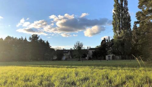 Apartment with Garden View