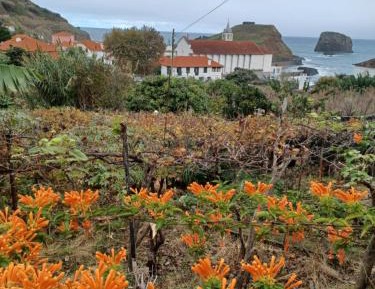 Studio Apartment with Sea View