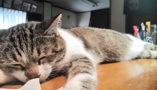 Japanese-Style Quadruple Room