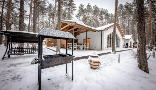 Holiday Home