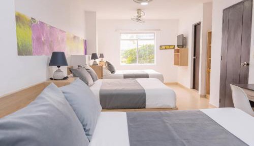 Basic Triple Room