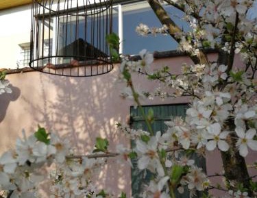 Deluxe Double Room with Shower