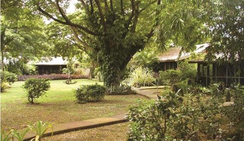 Bungalow with Garden View