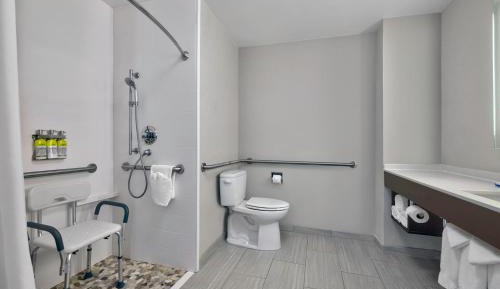 King Suite with Roll-in Shower - Mobility Access