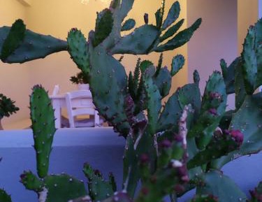 Two bedroom apartment with Sea view