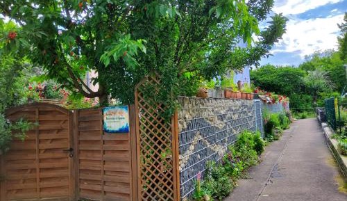 Single Room with Shared Bathroom