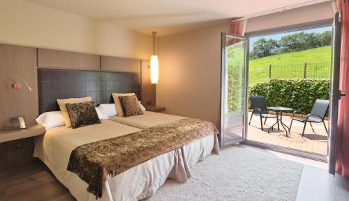 Executive Double or Twin Room With Terrace