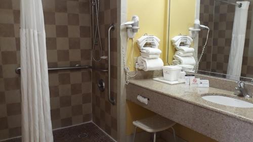 Queen Room with Roll-In Shower - Mobility Accessible/Non-Smoking