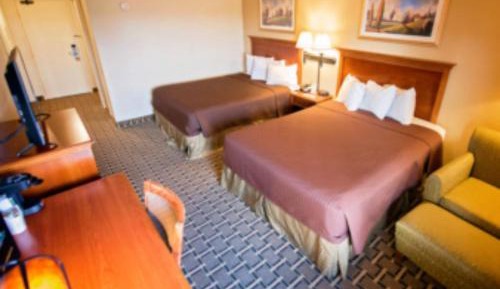 Standard Double Room