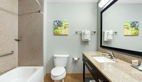 Deluxe King Suite - Non-Smoking