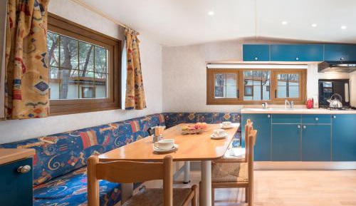 Mobile Home