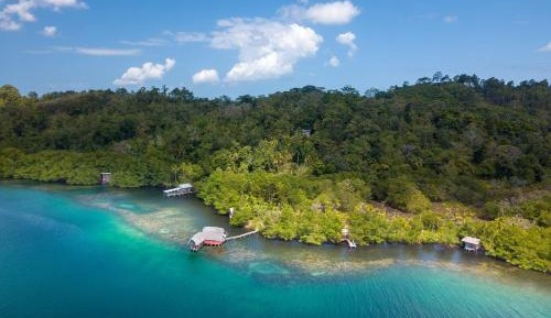 Bungalow - Water Front 