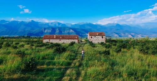Villa with Garden View