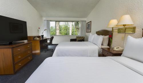 Double Room with Two Double Beds