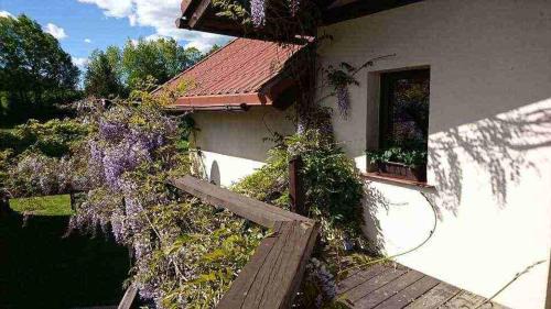 Double or Twin Room with Bathroom