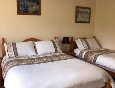 Double or Twin Room with Garden View