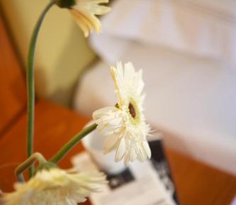 Superior Double Room with Sea or Pool view 