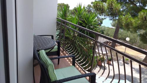 Studio with Terrace