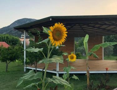 Double Room with Garden View