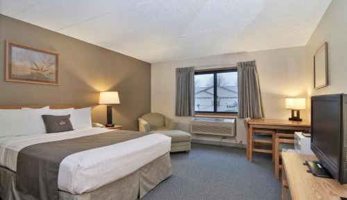 Single Room - Disability Access